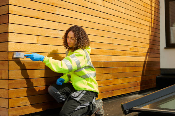 Best Siding Painting and Refinishing  in USA